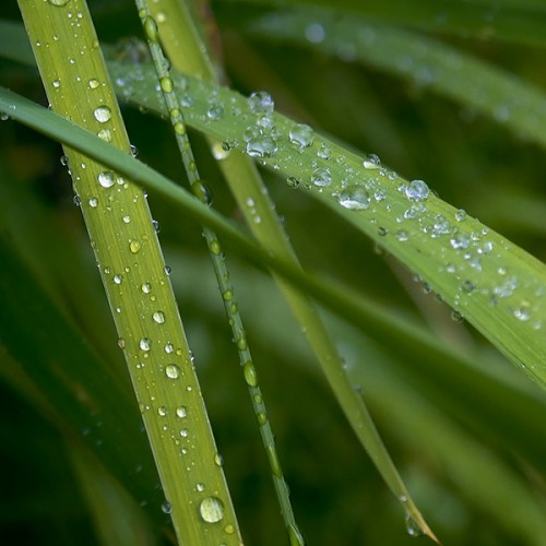 水滴2